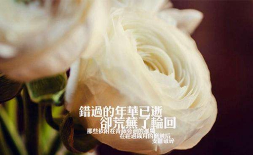 徐志摩最美的情話語錄