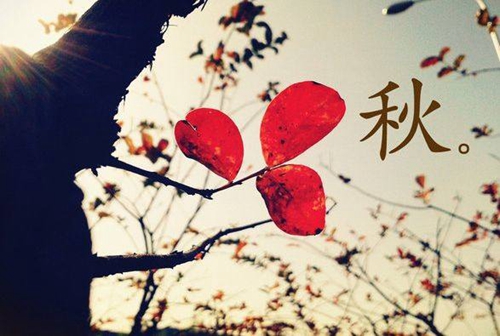 情侶的有趣情話