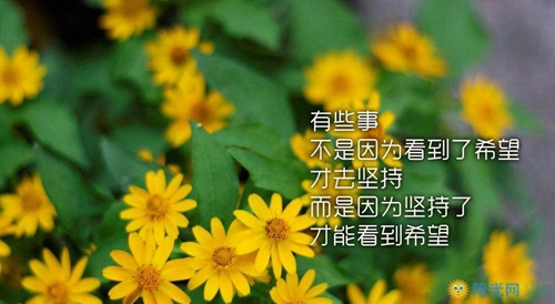 英文情話短句搞笑