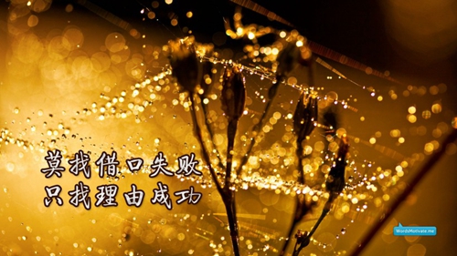高三深情告白的情書現(xiàn)實的