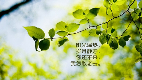 委婉情話簡短