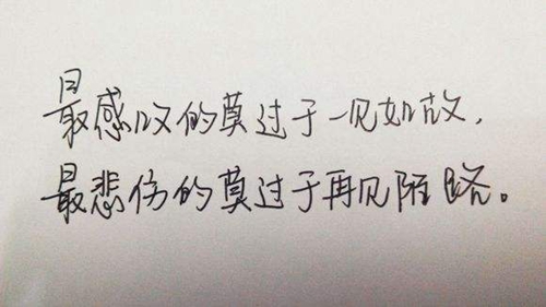 關(guān)于植物的花語