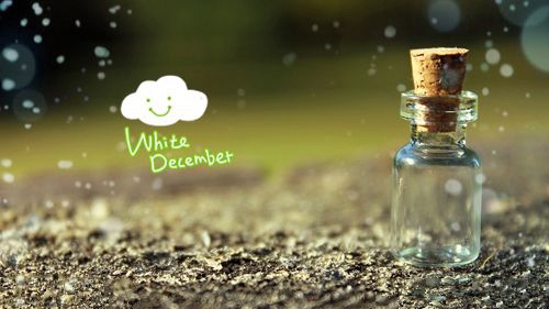 我沒有動人的情話后邊的話