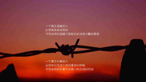 靳東哪句表白的話