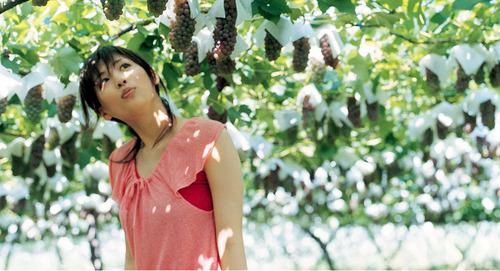 表白一個離婚的女人