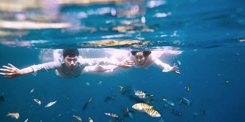 浪漫的情話短語20字