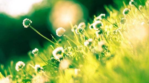 情話短句文案溫柔夏天