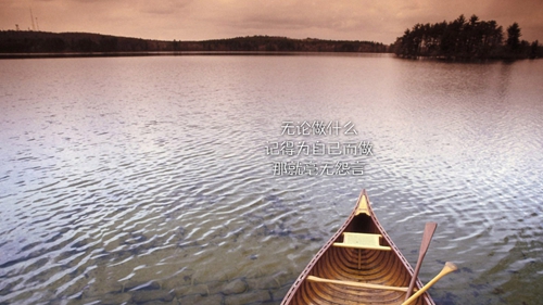 告白書格式怎么寫