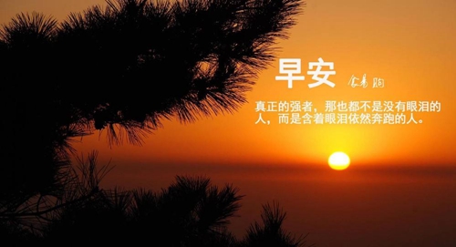 唯美暖心情話短句