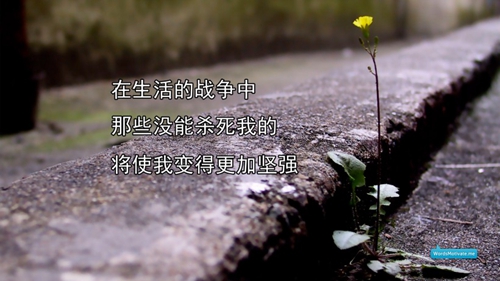 三峽文言文情話大全