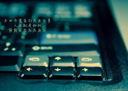 浪漫古詩文情話