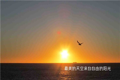 端午表白祝福語
