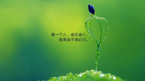 給男友講的情話