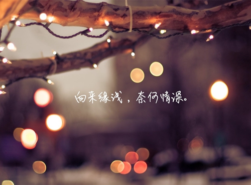 表白紙條的句子簡短