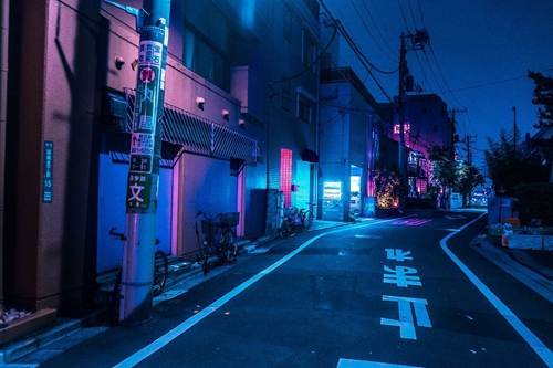 關于藍貓的情話