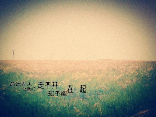會讓人笑的表白情話有哪些