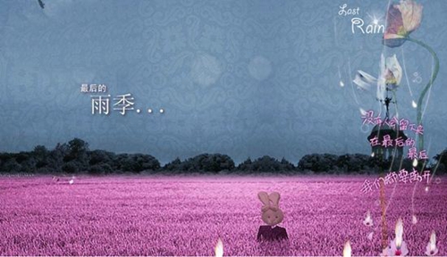 表白雪茄的句子
