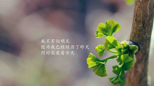 真誠表白詞